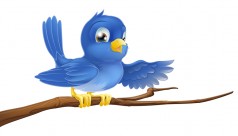 Twitter bigstock-Bluebird-Sitting-On-Branch-Po-32634614