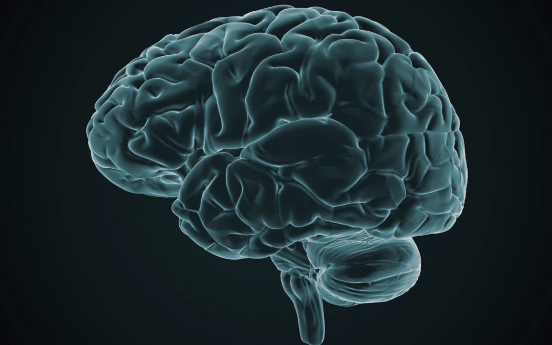Is Your Brain the Fountain of Youth?