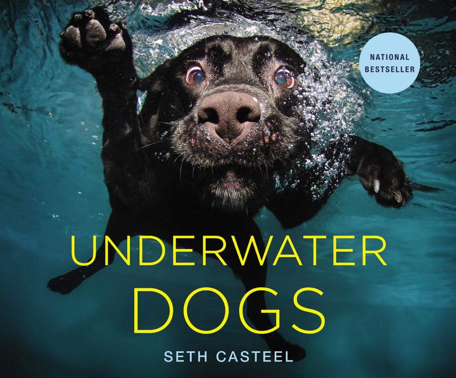 underwaterdogs