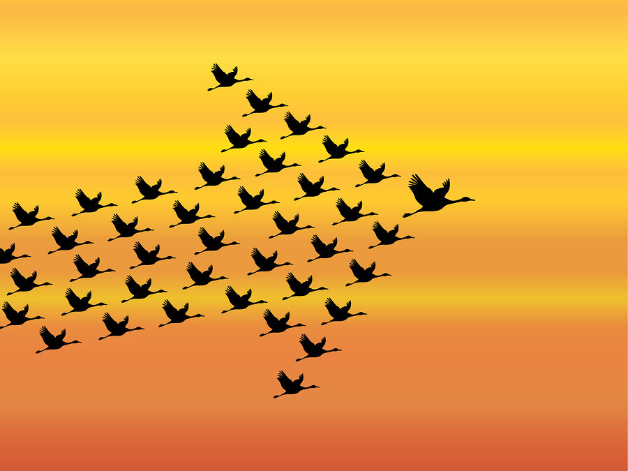 Leading With Others in Mind