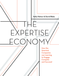 Expertise Economy book cover