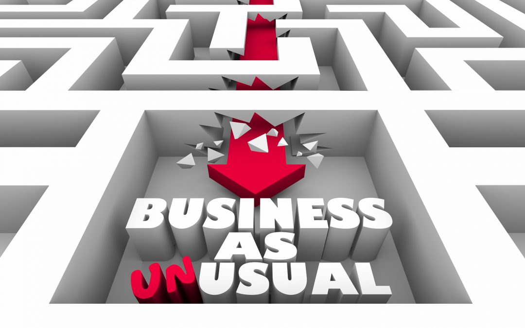 Embrace Wild Thinking to Grow Your Business