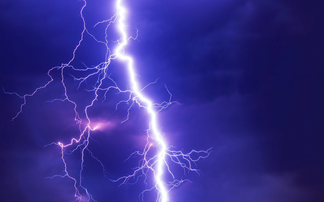How to Ignite and Sustain Organizational Growth