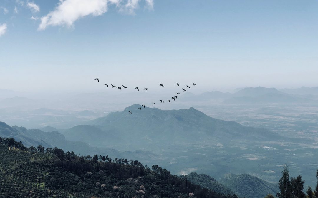 5 Benefits of the Leadership Journey