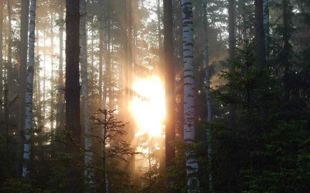 How to Bring Breakthrough Ideas to Life