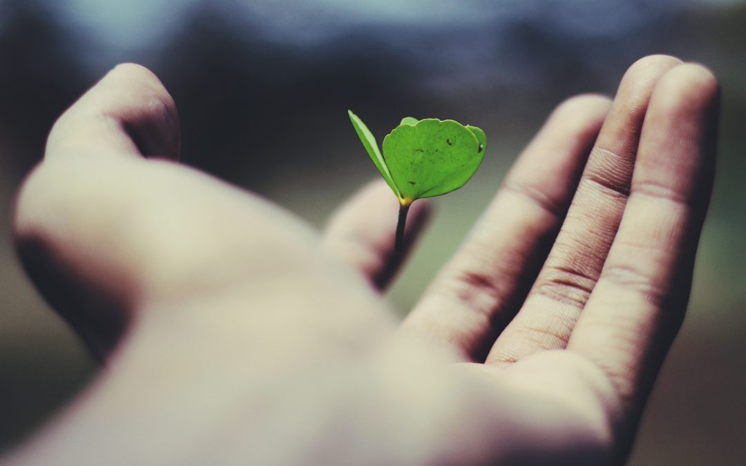How to Develop a Radical Product Thinking Mindset