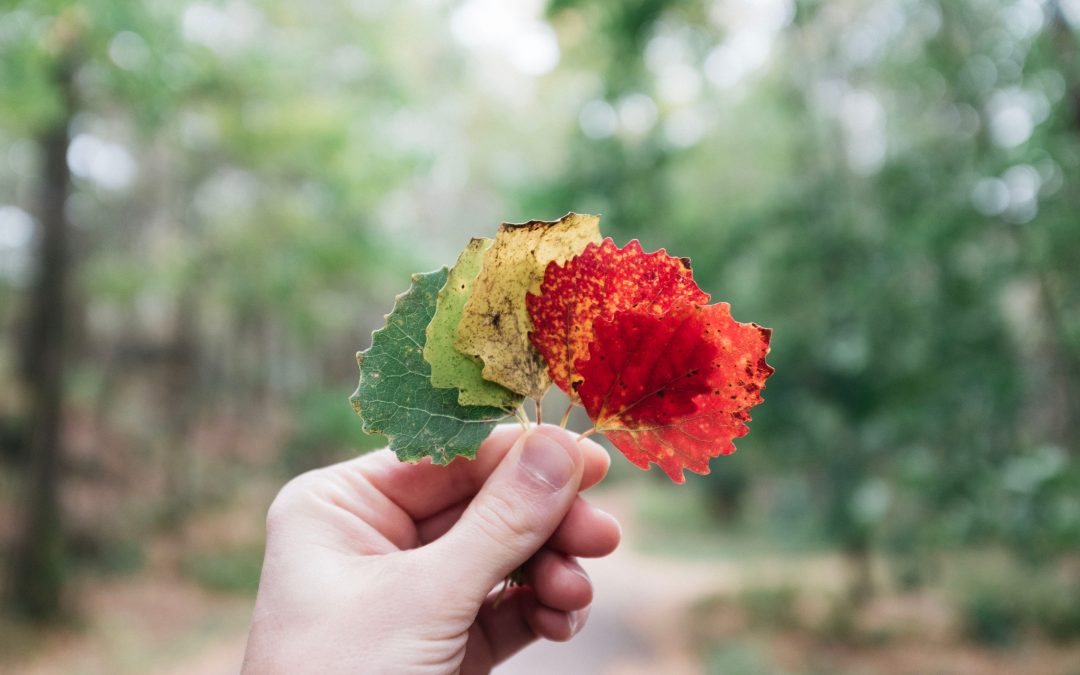 4 Steps to Changing Other People