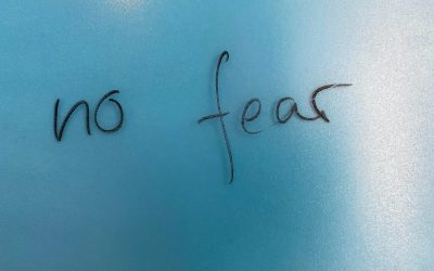 How leaders deal with fear